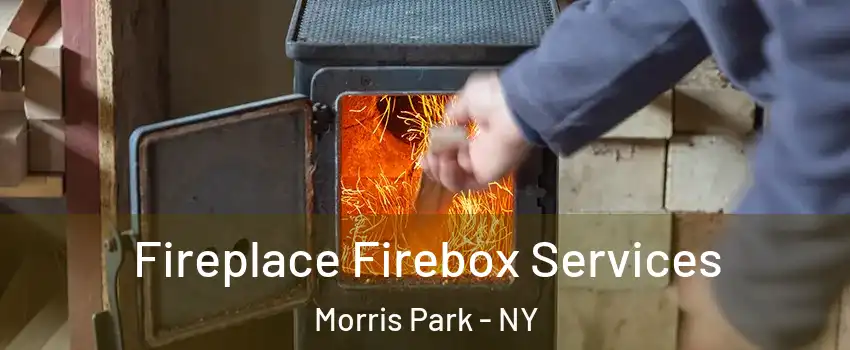 Fireplace Firebox Services Morris Park - NY