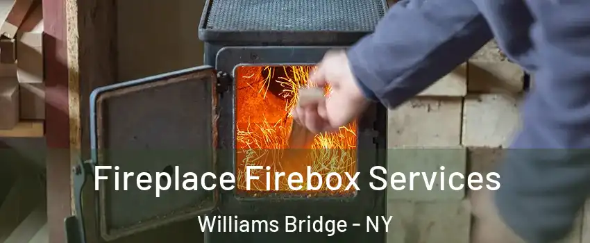 Fireplace Firebox Services Williams Bridge - NY