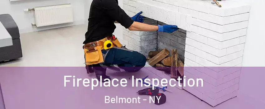 Fireplace Inspection Belmont - NY