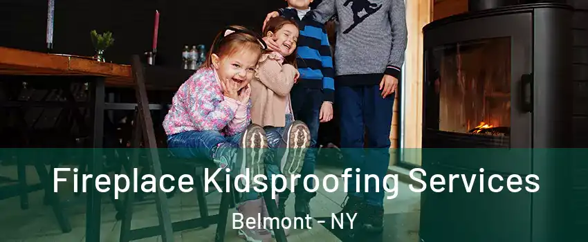 Fireplace Kidsproofing Services Belmont - NY