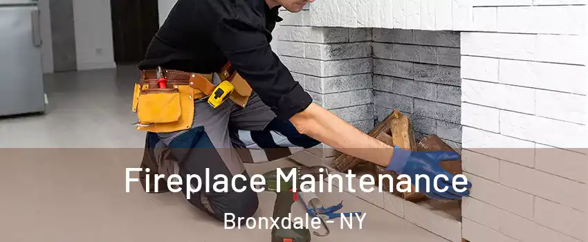 Fireplace Maintenance Bronxdale - NY