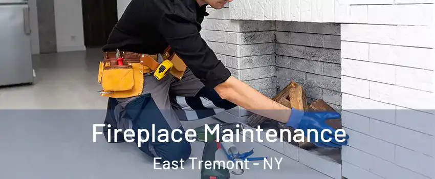 Fireplace Maintenance East Tremont - NY