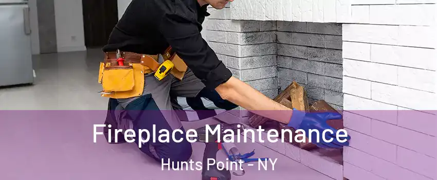 Fireplace Maintenance Hunts Point - NY