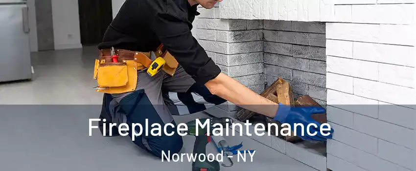 Fireplace Maintenance Norwood - NY