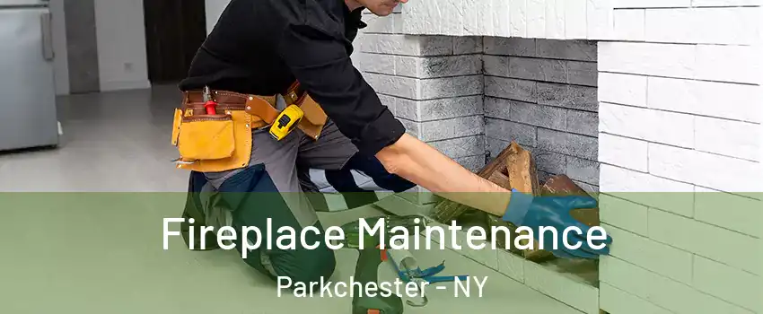 Fireplace Maintenance Parkchester - NY