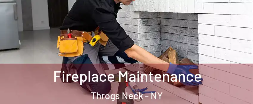 Fireplace Maintenance Throgs Neck - NY