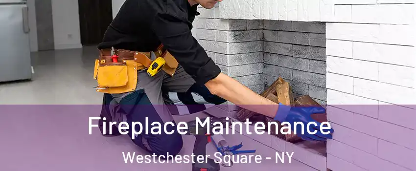 Fireplace Maintenance Westchester Square - NY