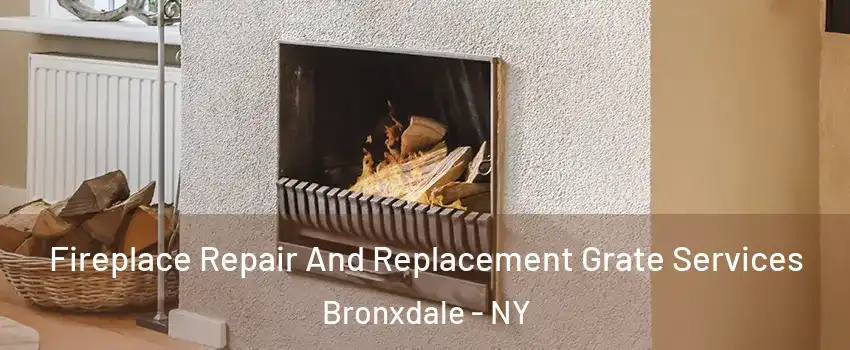 Fireplace Repair And Replacement Grate Services Bronxdale - NY