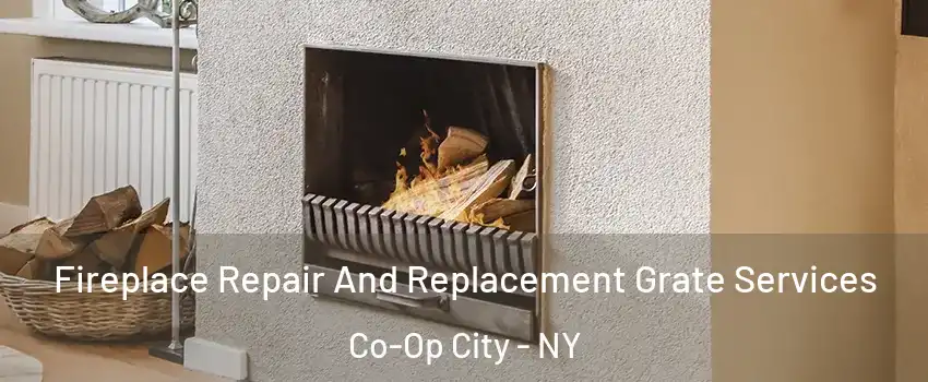 Fireplace Repair And Replacement Grate Services Co-Op City - NY