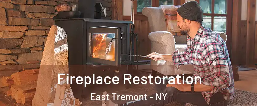 Fireplace Restoration East Tremont - NY