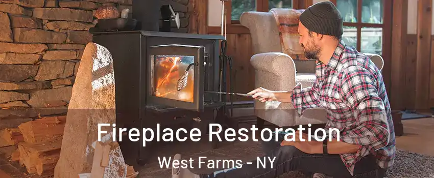 Fireplace Restoration West Farms - NY