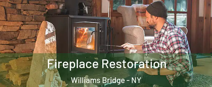 Fireplace Restoration Williams Bridge - NY