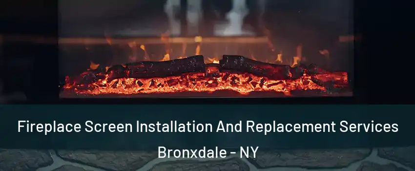 Fireplace Screen Installation And Replacement Services Bronxdale - NY