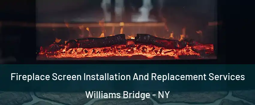 Fireplace Screen Installation And Replacement Services Williams Bridge - NY