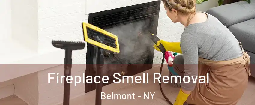 Fireplace Smell Removal Belmont - NY