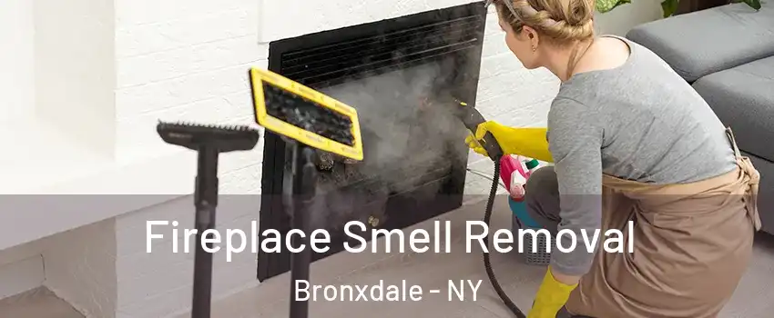 Fireplace Smell Removal Bronxdale - NY