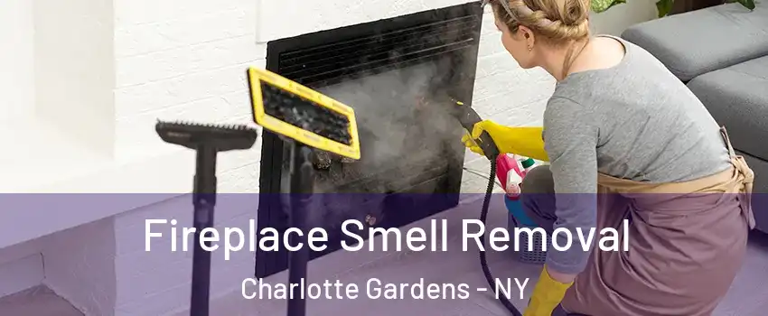 Fireplace Smell Removal Charlotte Gardens - NY