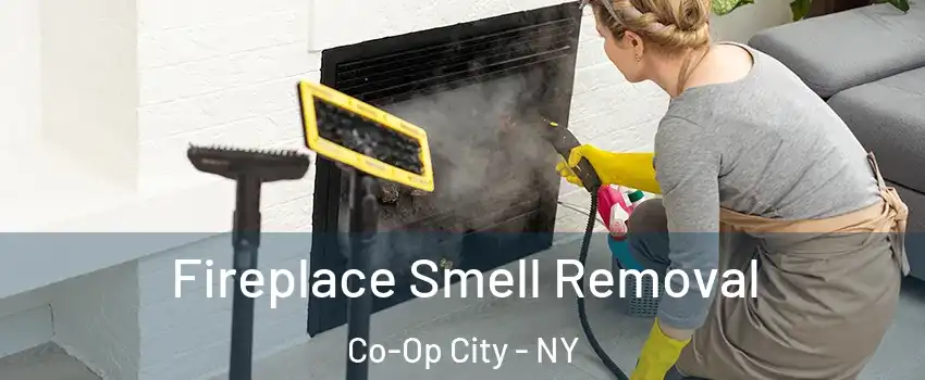 Fireplace Smell Removal Co-Op City - NY