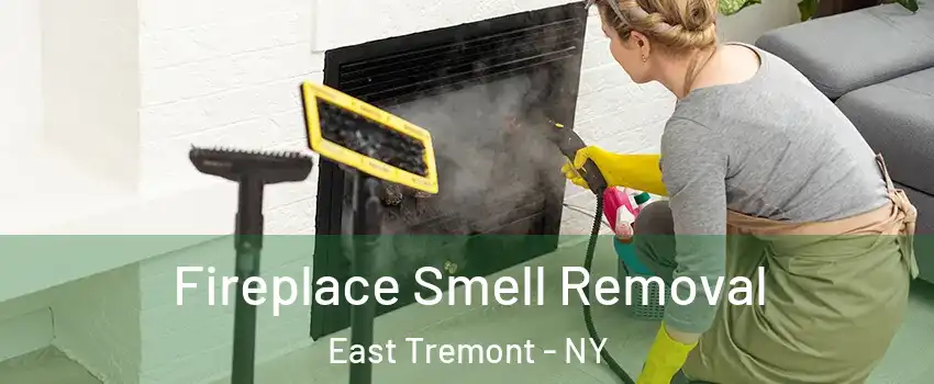 Fireplace Smell Removal East Tremont - NY