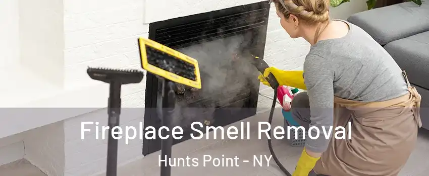 Fireplace Smell Removal Hunts Point - NY