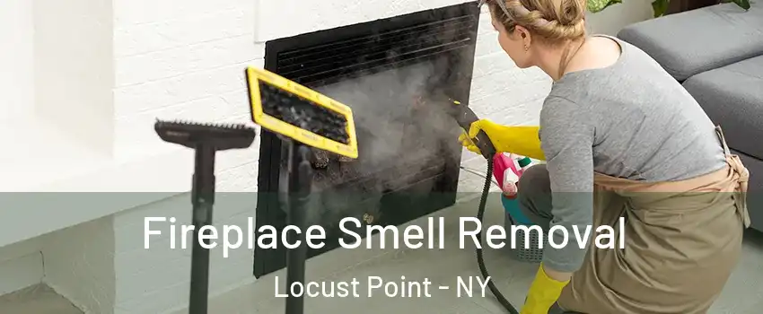 Fireplace Smell Removal Locust Point - NY