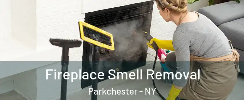 Fireplace Smell Removal Parkchester - NY