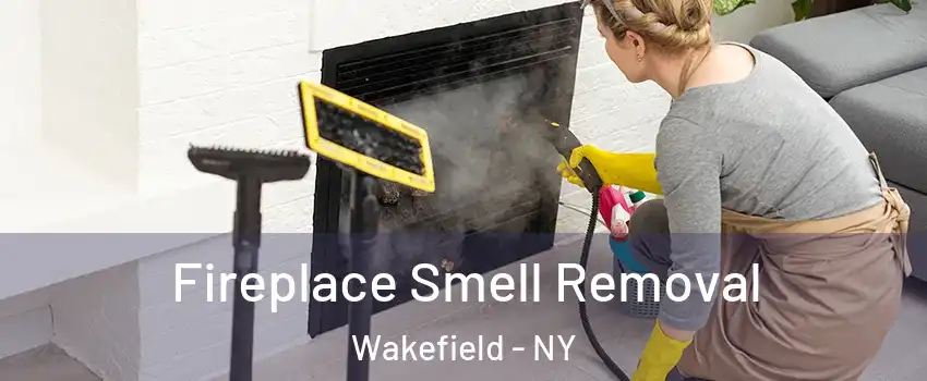 Fireplace Smell Removal Wakefield - NY