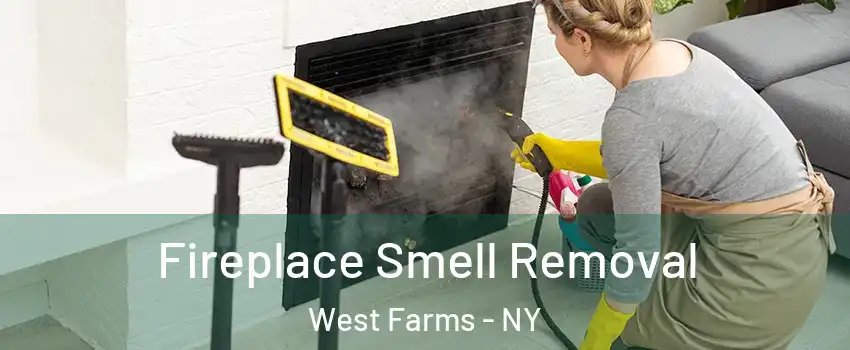 Fireplace Smell Removal West Farms - NY