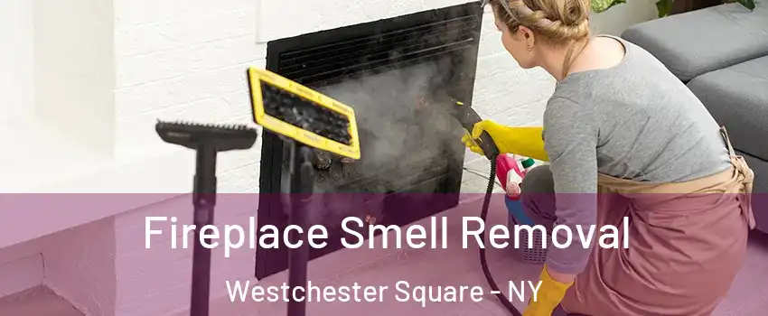 Fireplace Smell Removal Westchester Square - NY