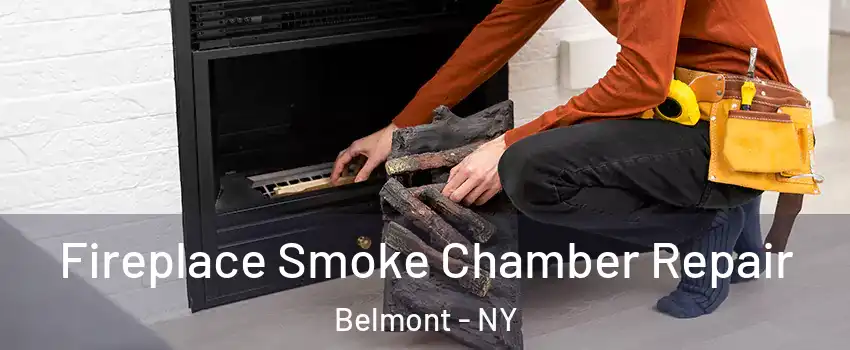 Fireplace Smoke Chamber Repair Belmont - NY