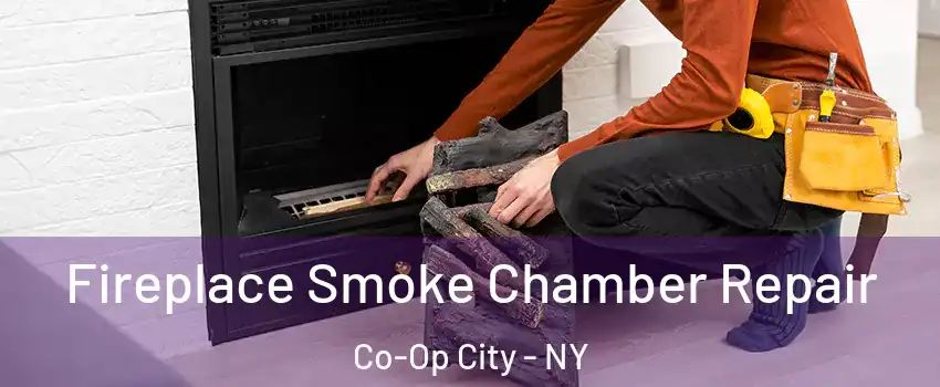 Fireplace Smoke Chamber Repair Co-Op City - NY