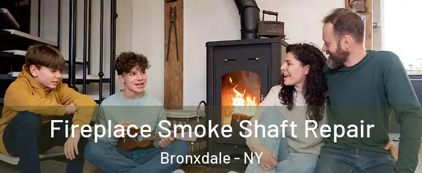 Fireplace Smoke Shaft Repair Bronxdale - NY