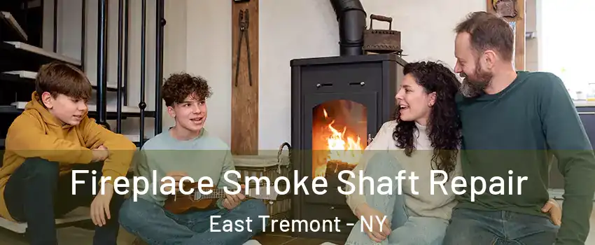 Fireplace Smoke Shaft Repair East Tremont - NY