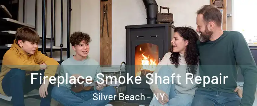 Fireplace Smoke Shaft Repair Silver Beach - NY