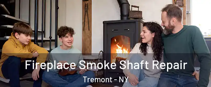 Fireplace Smoke Shaft Repair Tremont - NY