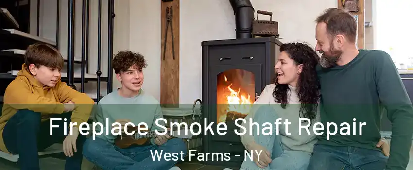 Fireplace Smoke Shaft Repair West Farms - NY