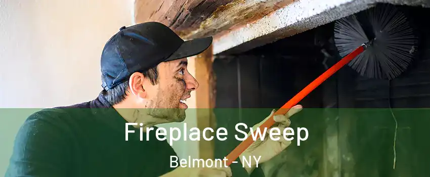 Fireplace Sweep Belmont - NY