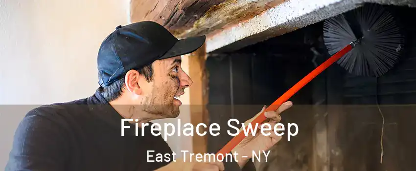 Fireplace Sweep East Tremont - NY