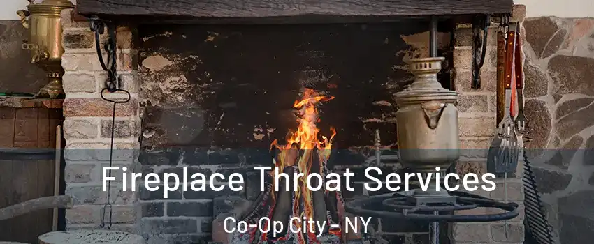 Fireplace Throat Services Co-Op City - NY