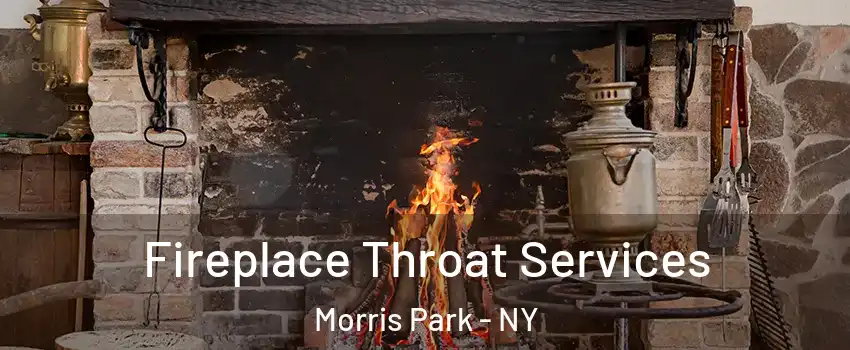 Fireplace Throat Services Morris Park - NY