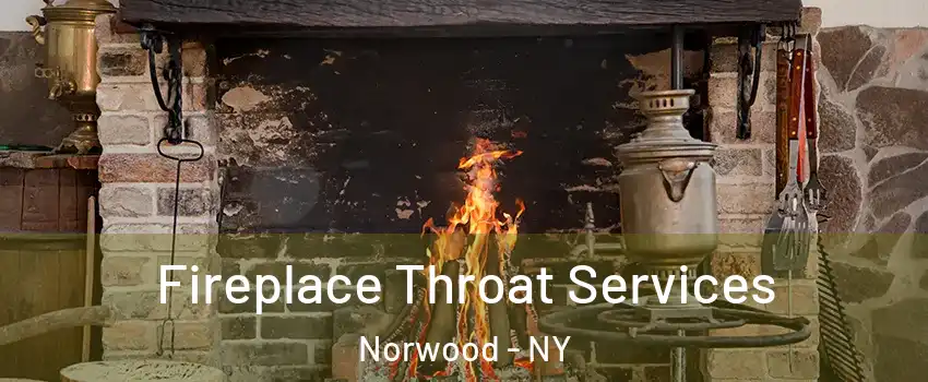 Fireplace Throat Services Norwood - NY