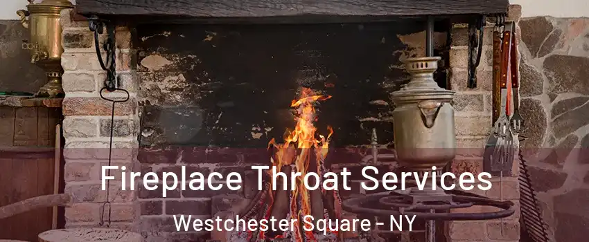 Fireplace Throat Services Westchester Square - NY