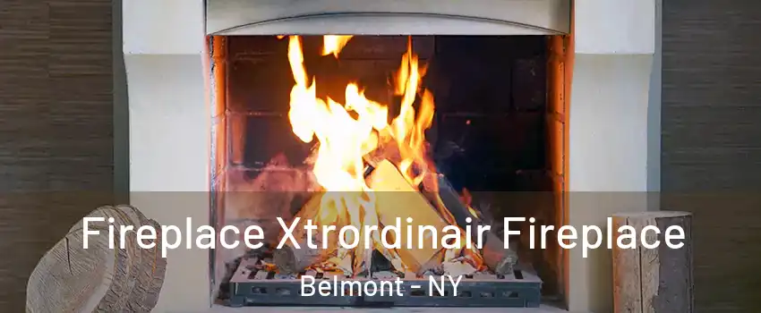 Fireplace Xtrordinair Fireplace Belmont - NY