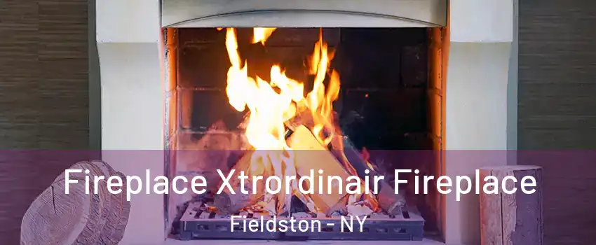 Fireplace Xtrordinair Fireplace Fieldston - NY