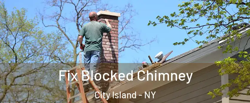 Fix Blocked Chimney City Island - NY