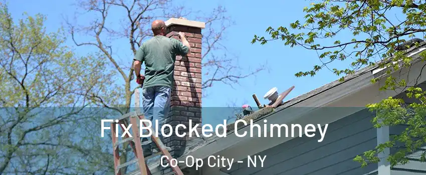 Fix Blocked Chimney Co-Op City - NY