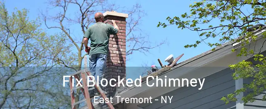 Fix Blocked Chimney East Tremont - NY