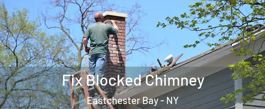 Fix Blocked Chimney Eastchester Bay - NY