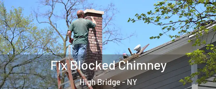 Fix Blocked Chimney High Bridge - NY