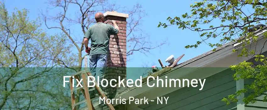 Fix Blocked Chimney Morris Park - NY